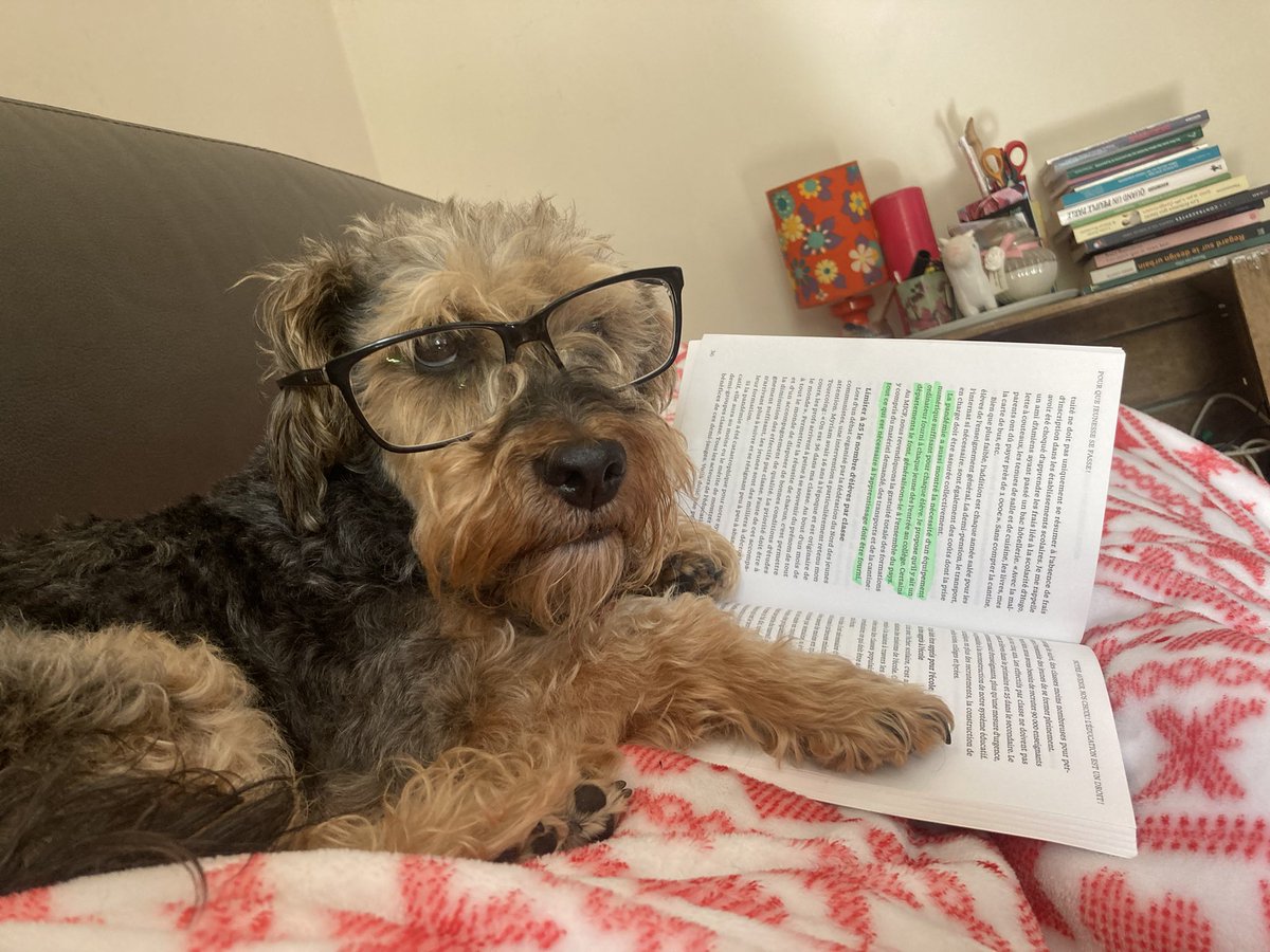 PCF531's tweet photo. Fais comme Ti Waf, découvre « Pour que jeunesse se fasse ! », un livre qui a du chien de @L_Deffontaines ! Des exemplaires sont à shopper direct à la fédération ! @mjcf53 @_MJCF #Jeunesse #Parcoursup #RevenuJeune #JoursHeureux @MARMANDO19_ @GweGweSML https://t.co/0CCiHdP9IW