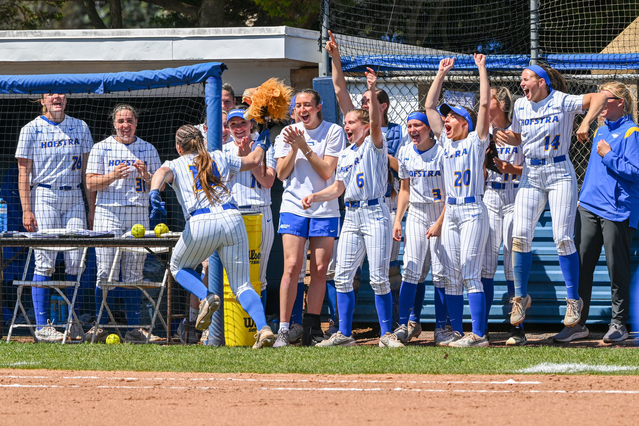 Hofstra Softball (HofstraSoftball) / Twitter
