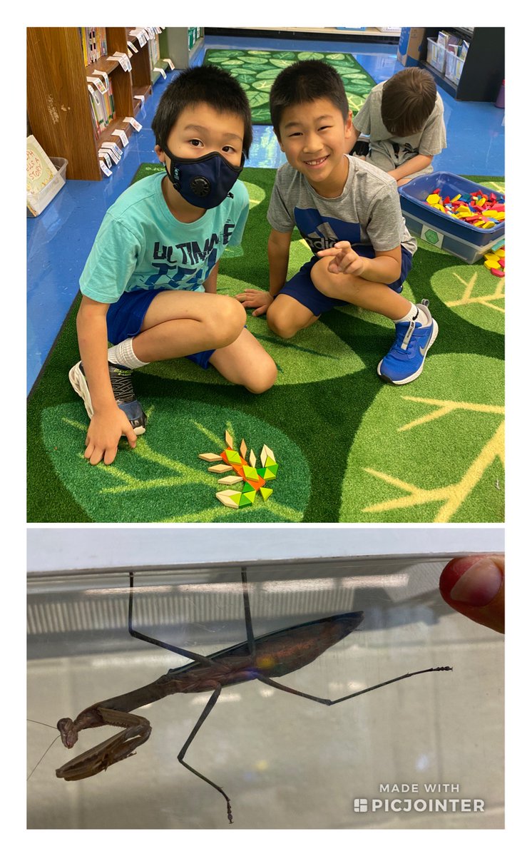 Jessica Glover (@k4montystem) on Twitter photo Mrs. Piccirillo's students are inspired by a praying mantis observed after recess during #BridgesMath and #BridgesWorkPlaces <a href="/MONTYOHES/">OHES Admin</a> Mrs. Piccirillo's students are inspired by a praying mantis observed after recess during #BridgesMath and #BridgesWorkPlaces <a href="/MONTYOHES/">OHES Admin</a>
