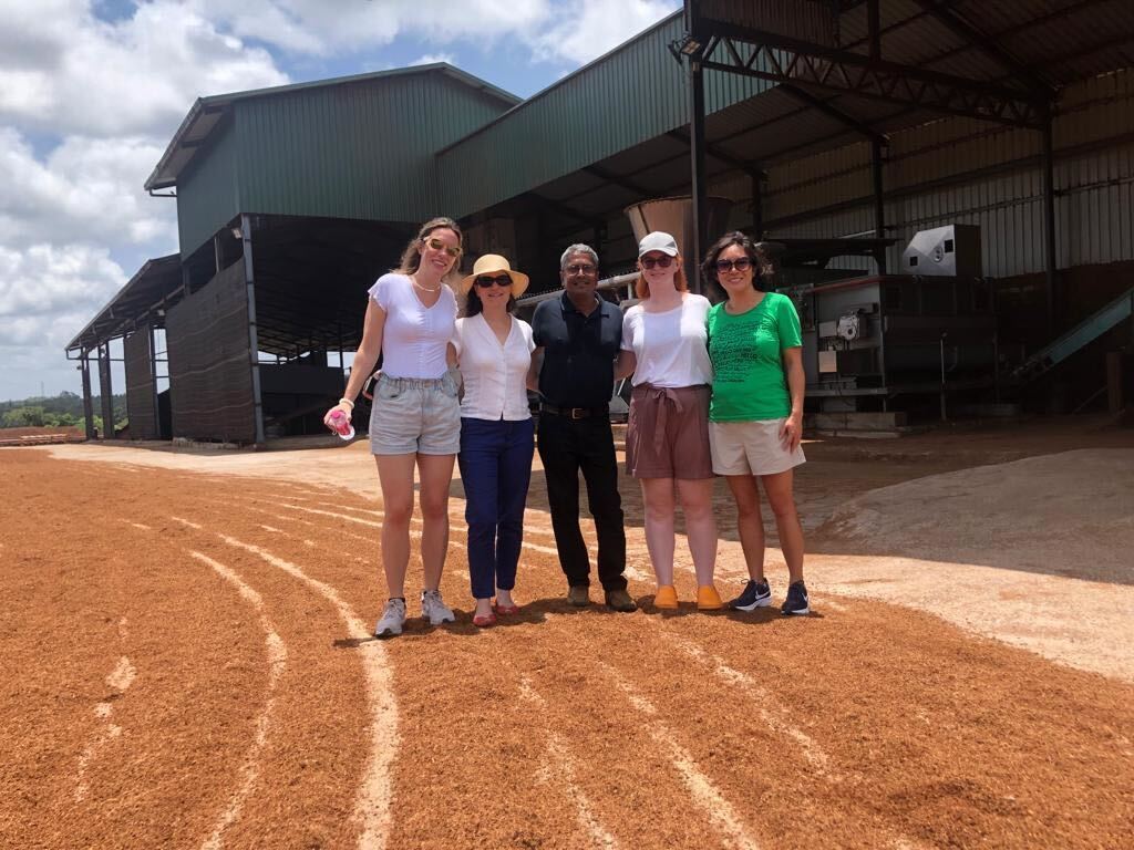 BotanicoirLtd's tweet photo. This week the UK team visited #SriLanka for workshops, team building, and shared learning, as well as watching elephants 🐘 bathe in the river and enjoying great social gatherings too!

Bringing the team here is so important for our Botanicoir family.

#team #Botanicoir https://t.co/dq0gONhIg4