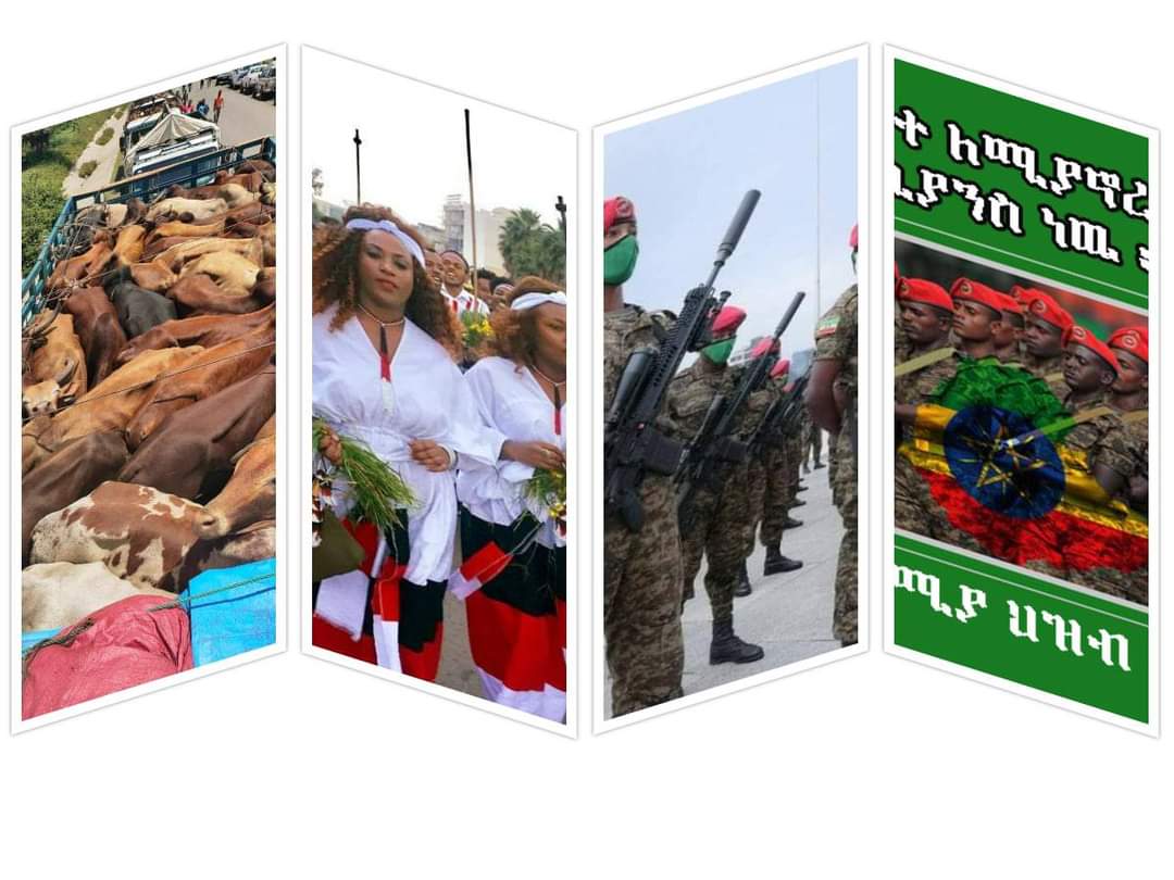 BedeleBuno's tweet photo. የኦሮሚያ ክልል ህዝብ ለጀግናዉ መከላከያ ሰራዊታችን በአጠቃላይ ግምታቸዉ በብር 242,777,635 የሚገመቱ በአይነት እና በገንዘብ ያሰባሰበዉን ድጋፍ ለመከላከያ ሰራዊታችን ገቢ አድረጓል፡፡💚💛❤️🖤🤍❤️💚💛❤️🖤🤍❤️ https://t.co/DCZhgUP0i6
