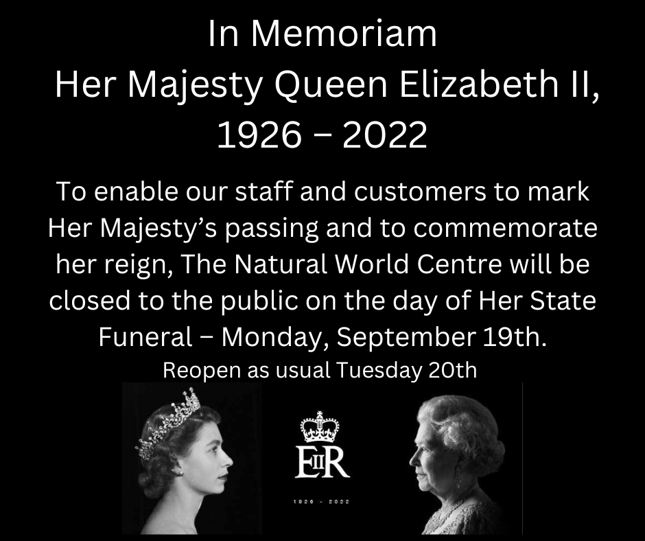 Natural World Centre (@whisbynaturep) on Twitter photo 