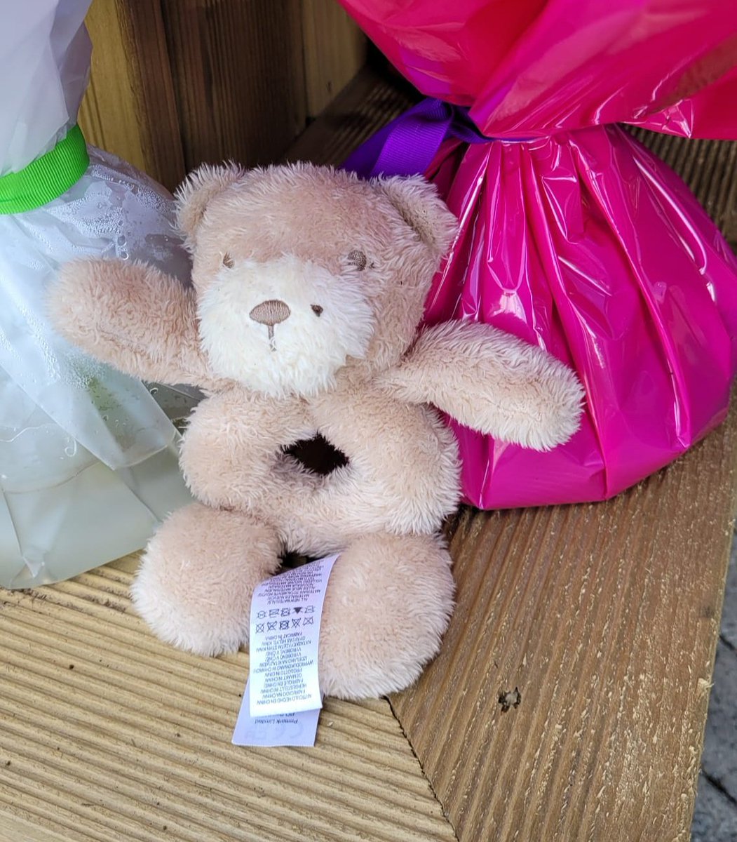 goapplegreen's tweet photo. We came across this lovely little guy in our Mt. Merrion store today if anyone recognises him! 🐻
We'd hate to think he'd miss out on some weekend adventures with his owner 💕
#GetTeddyHome https://t.co/uVUI0HxdOV