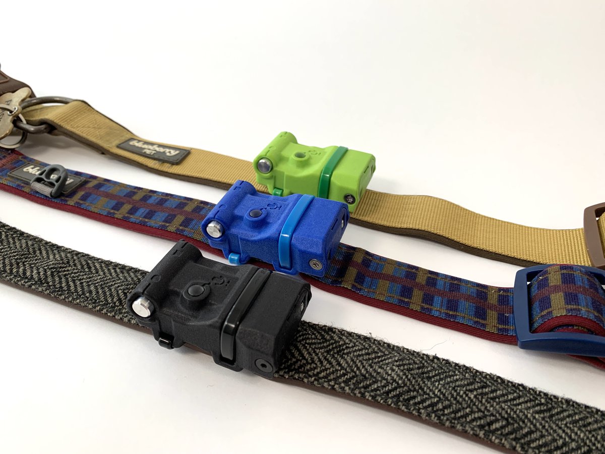 Arribada Initiative tweet media