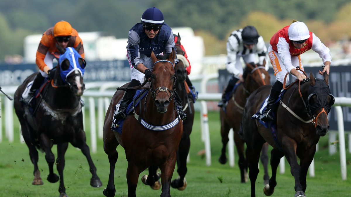 rpbloodstock's tweet photo. 💬 "Oxted has been the pinnacle and now we've got another lovely horse in Chipstead. We'll find out next year how far he can go."

Stephen Piper on the story behind Chipstead and his famous full-brother 👉 https://t.co/GdoUpN3qfm https://t.co/l2GYLWm8SR
