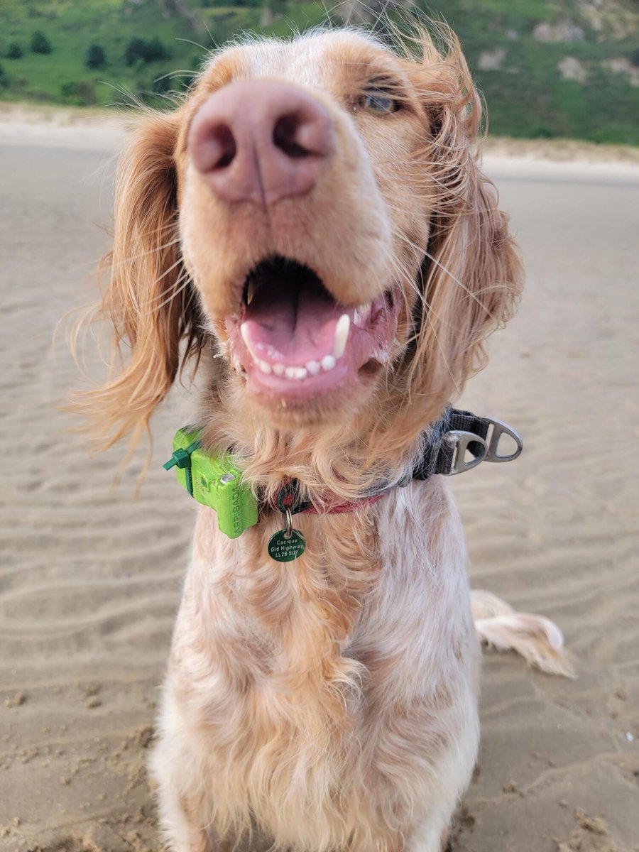 Arribada Initiative tweet media