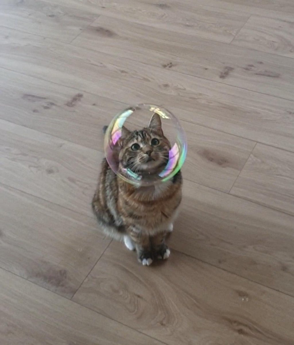 WholesomeMeme's tweet photo. https://t.co/G8dVwWEgB5