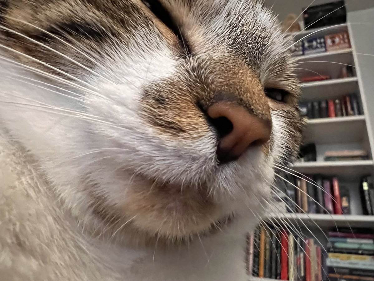 Gabriela 🧚🏻‍♀️ tweet media