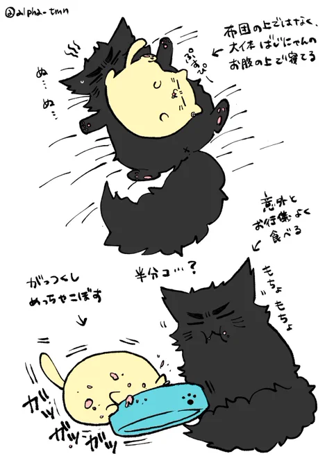 ばじふゆにゃんにゃん② 