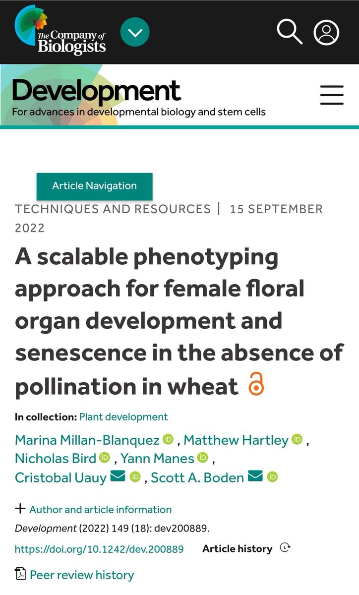 BlanquezMarina's tweet photo. Have you ever wondered what happens to the female carpel when it misses its date...? 🥀 Check out my first first-author paper on the study of carpel development and senescence in the absence of pollination in wheat 🌾

🗞️ Now out in @Dev_journal 

https://t.co/6PjR68h6ER

🧵 https://t.co/BdB2qryt4T