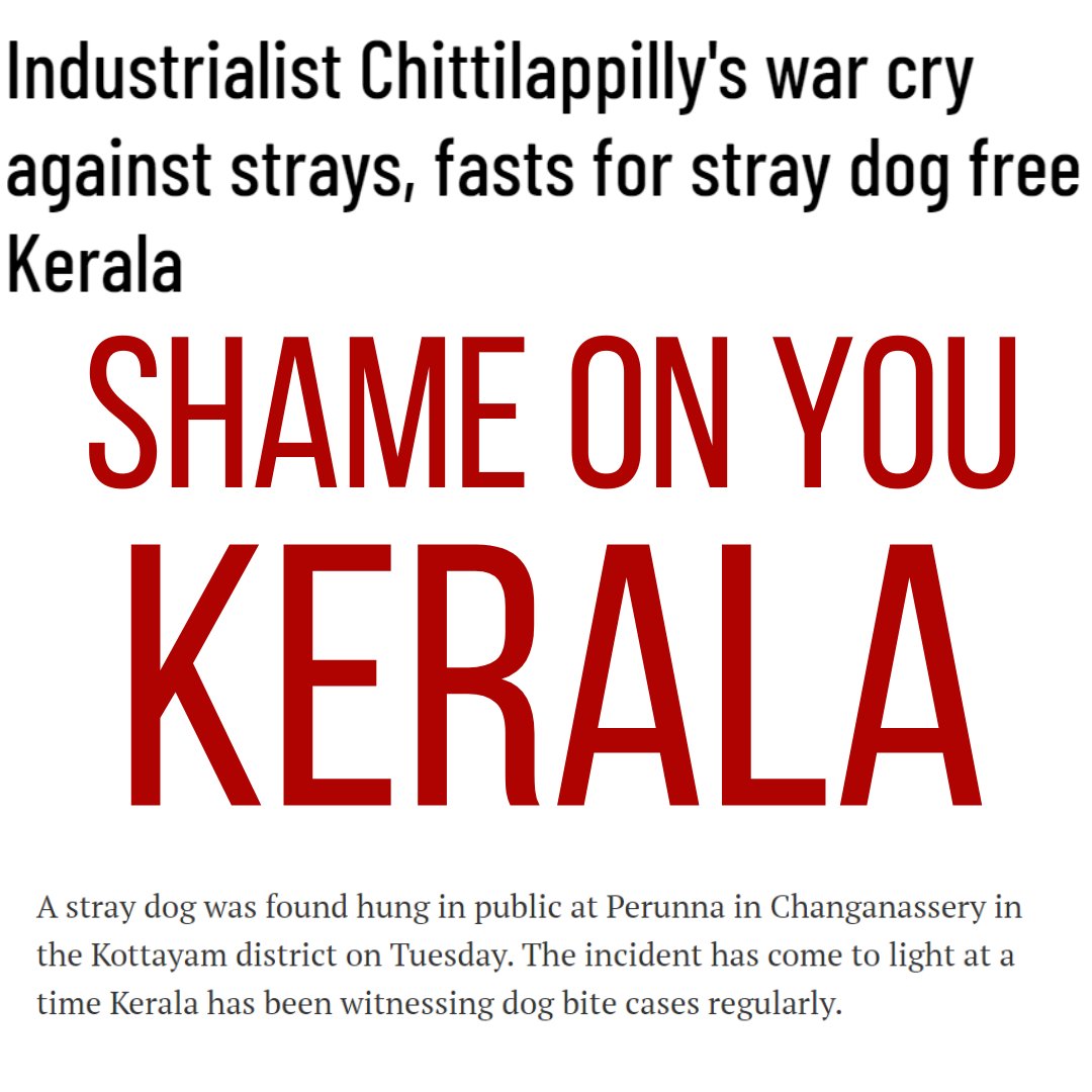 muddyhounds_'s tweet photo. #standupfordogs #animalrights #savekeraladogs https://t.co/4JJbcN1rz6