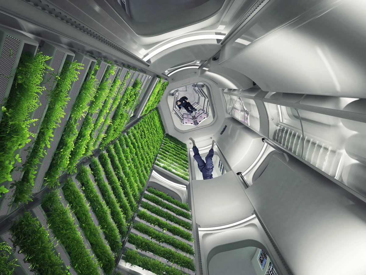 SierraSpaceCo's tweet photo. What if you could address hunger using plant-based foods?
@OrbitalReef will support the next generation of plant-based foods that will not only provide nutrition for those in space but also those on Earth.
Learn more: https://t.co/aU9dOFeBJo
#OrbitalReef #SpaceSation https://t.co/9mlYxMRld8