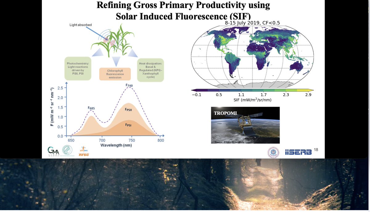 Dhanya__Pillai's tweet photo. @PAparnna presenting her results on refining the net ecosystem exchanges using satellite,insitu observations and model @ICOS_RI @ICOS_CP @MPI_BGC @iiserbhopal @gmalab_iiserb @NOAASatellites @tropomi https://t.co/DI9Khwfwgm