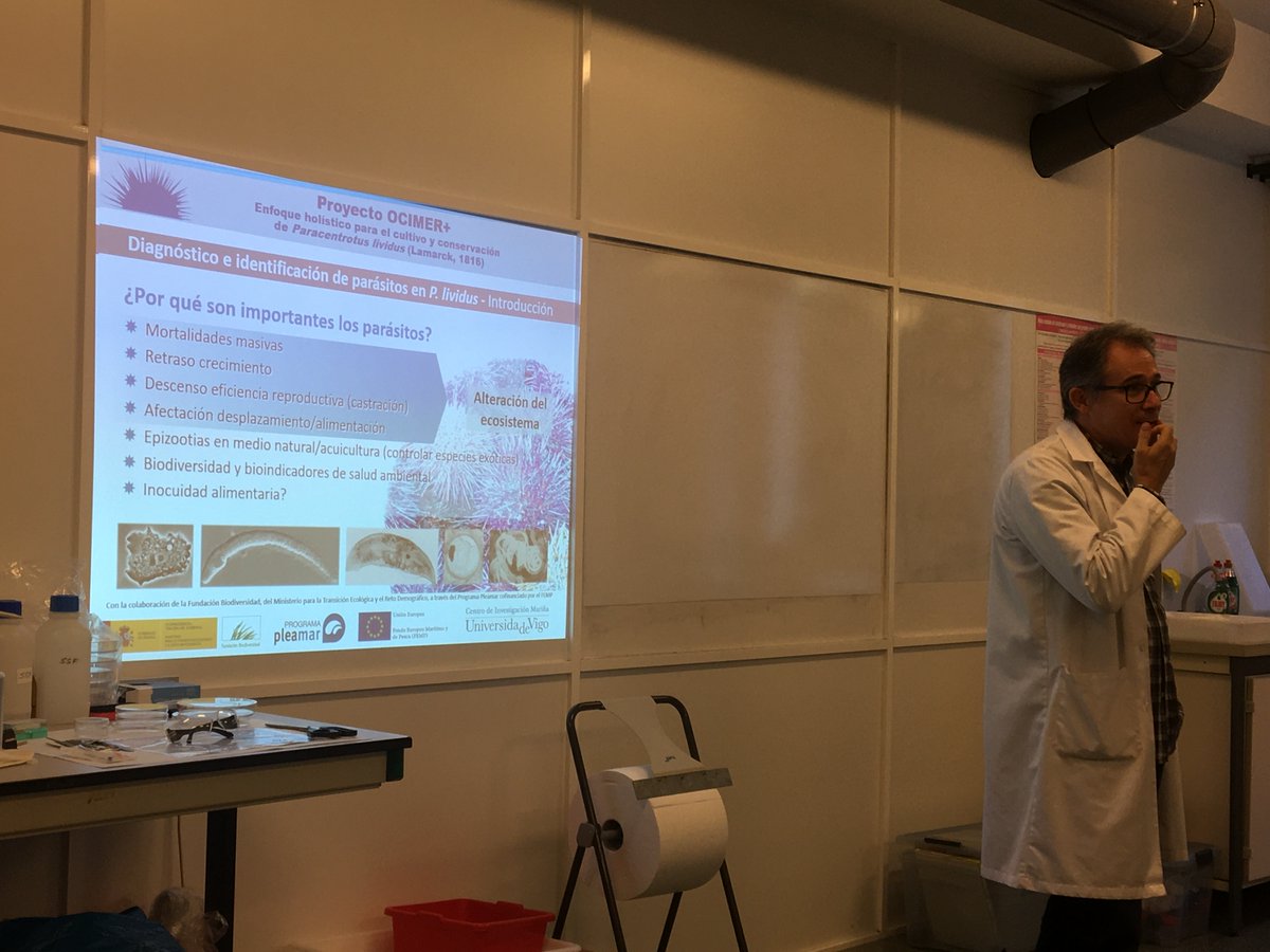 ocimerplus's tweet photo. El Curso de Patología organizado en el marco del proyecto @ocimerplus ha sido todo un éxito😀.Gracias a l@s participantes por vuestro interés (Actividad 8 #Divulgación) #FEMP #Pleamar @Estef_Paredes https://t.co/DLZMaz3bUw