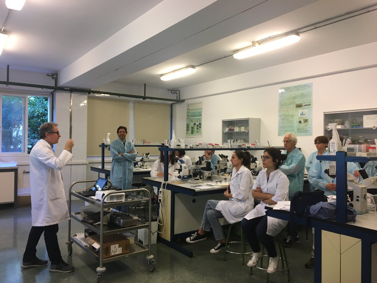 ocimerplus's tweet photo. El Curso de Patología organizado en el marco del proyecto @ocimerplus ha sido todo un éxito😀.Gracias a l@s participantes por vuestro interés (Actividad 8 #Divulgación) #FEMP #Pleamar @Estef_Paredes https://t.co/DLZMaz3bUw