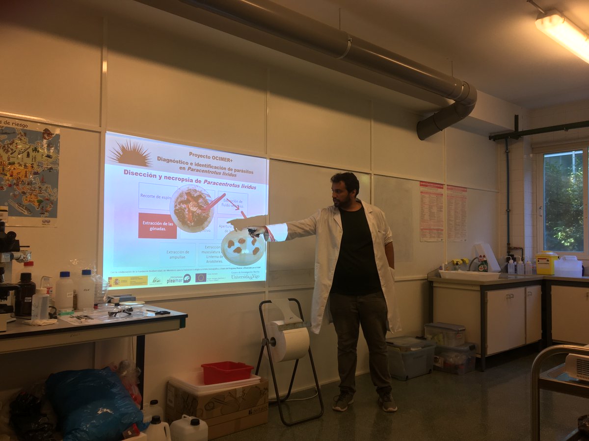 ocimerplus's tweet photo. El Curso de Patología organizado en el marco del proyecto @ocimerplus ha sido todo un éxito😀.Gracias a l@s participantes por vuestro interés (Actividad 8 #Divulgación) #FEMP #Pleamar @Estef_Paredes https://t.co/DLZMaz3bUw