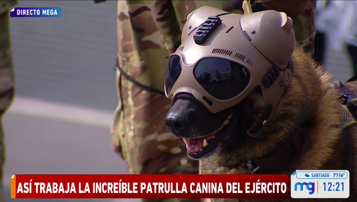 Televisivamente's tweet photo. Snowball
(Rick and Morty, 2013) https://t.co/YJk3XpLCyP