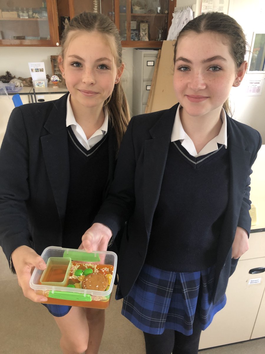 StMarysScienceD's tweet photo. To recap their prior knowledge at the start of the GCSE Biology course last week, Year 9 students helped to make a model of a cell with jelly and sweets. #biology #scienceisfun https://t.co/Ndtd7B1M6q