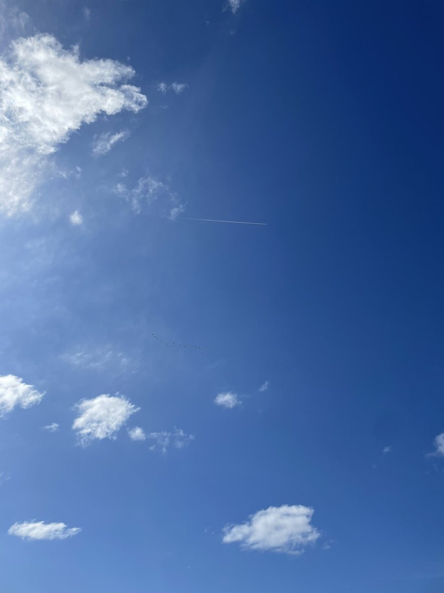 1/Systems change feels slippery, elusive and misunderstood. As untouchable as this aeroplane.