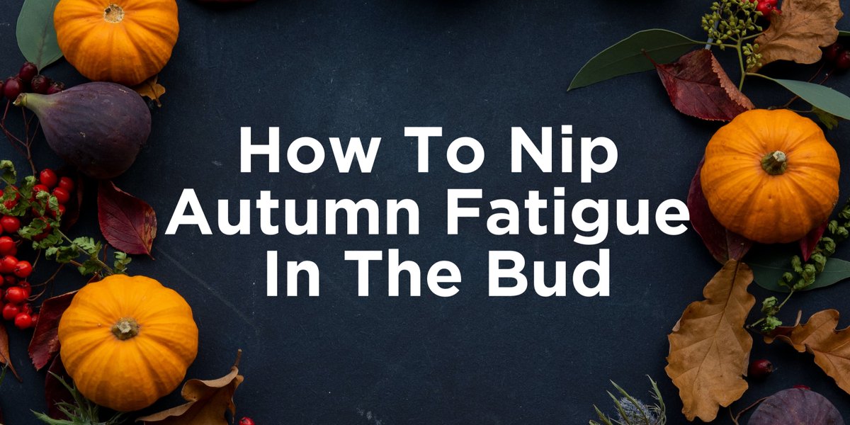 Check out our new blog post on how to wake up your brain during the colder months ahead🍂: bit.ly/3xu87eO