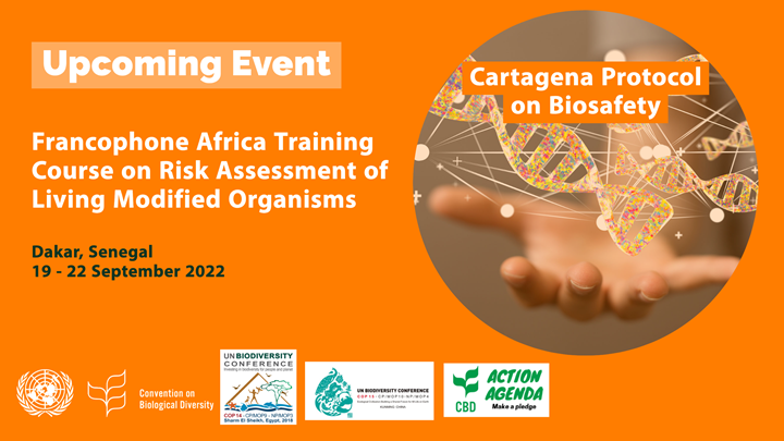 BCHCPB's tweet photo. Francophone Africa Training Course on Risk Assessment of Living Modified Organisms (LMOs), 19 - 22 September 2022, Dakar, Senegal

The Protocol on Biosafety ensures the safe handling, transfer and use of LMOs to protect biodiversity.

@UNBiodiversity @wadzanayi14 @hdavidcooper https://t.co/3OPwXIMKnD