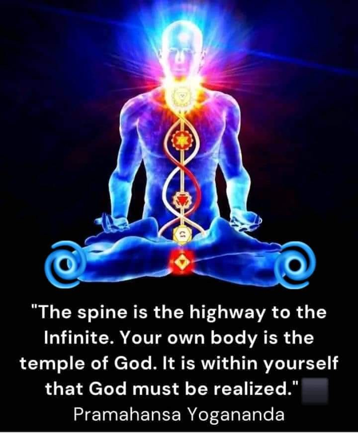 Ksareen30's tweet photo. The spine is the highway to the infinite... https://t.co/LrPHuIdEeH