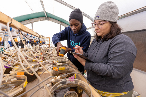 EcossNau's tweet photo. We're looking for great #PhD &amp; MS students to join our ecosystem and climate #research center @NAU for Fall 2023! Explore microbiomes to ecophysiology, freshwater science to fire and permafrost. Check out our research areas and how to apply: https://t.co/NocmHNXGU4 #PhDposition https://t.co/8sidrPVHDK