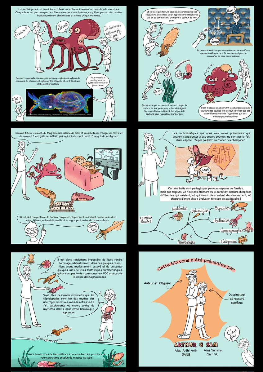 Première collaboration avec @Arthurisson, on s'est intéressés à nos amis les céphalopodes ! 🦑

Retrouvez notre biblio ici : 👇
docs.google.com/document/d/1Ve…

Arrêtez de manger du poulpe, mangez un riche !
 - Ceci est un message sponsorisé par le lobby des céphalopodes 

<a href="/dio2_cst/">Association DIO2</a>