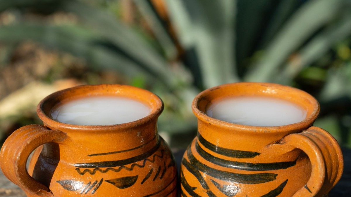 FoodandTravelMX's tweet photo. #SabíasQue en el municipio hidalguense de Apan, muchas familias aún conservan sus tinacales afuera de sus casas y han abierto las puertas a los viajeros para mostrar el delicado proceso de elaboración del pulque, así como fomentar su consumo. @HgoTravel @cecinunez https://t.co/VhvkS74INk