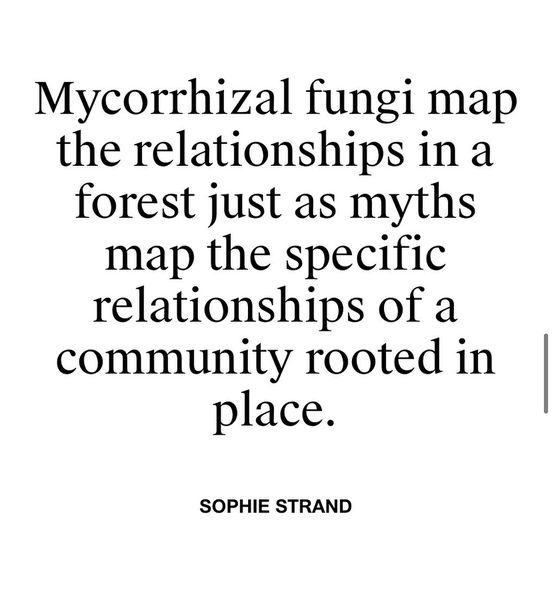 Sophie Strand tweet media