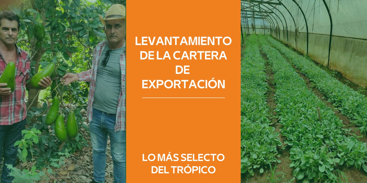 frutselect_cuba's tweet photo. Levantamiento de la Cartera de Exportación: "Lo más selecto del trópico" en la provincia de Villa Clara.
#exportacion #comercialización #exportacionagricola #comercialization #agricultura #agriculture #aseguramientofinanciero #desarrolloeinnovacion #desarrolloeinnovacionagrícola https://t.co/RFVfFBbni8