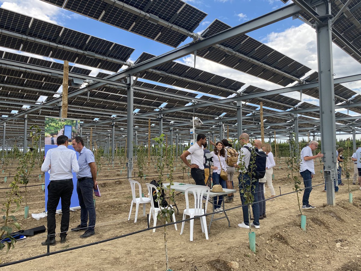 arecoccitanie's tweet photo. Des 🍐 + des panneaux #photovoltaïques ☀️+ des partenaires de qualité = les nouvelles installations #agrivoltaïques de #Llupia accompagnées par l’@arecoccitanie 
C’est ça la #souveraineté énergétique régionale et le #pouvoir de vivre en @Occitanie💪 
@CaroleDelga @Agneslangevine https://t.co/dyBewfJrJy