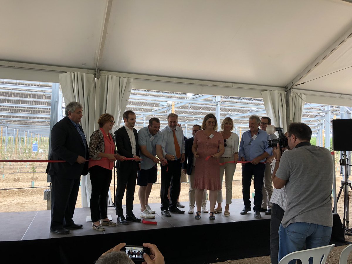 arecoccitanie's tweet photo. Des 🍐 + des panneaux #photovoltaïques ☀️+ des partenaires de qualité = les nouvelles installations #agrivoltaïques de #Llupia accompagnées par l’@arecoccitanie 
C’est ça la #souveraineté énergétique régionale et le #pouvoir de vivre en @Occitanie💪 
@CaroleDelga @Agneslangevine https://t.co/dyBewfJrJy
