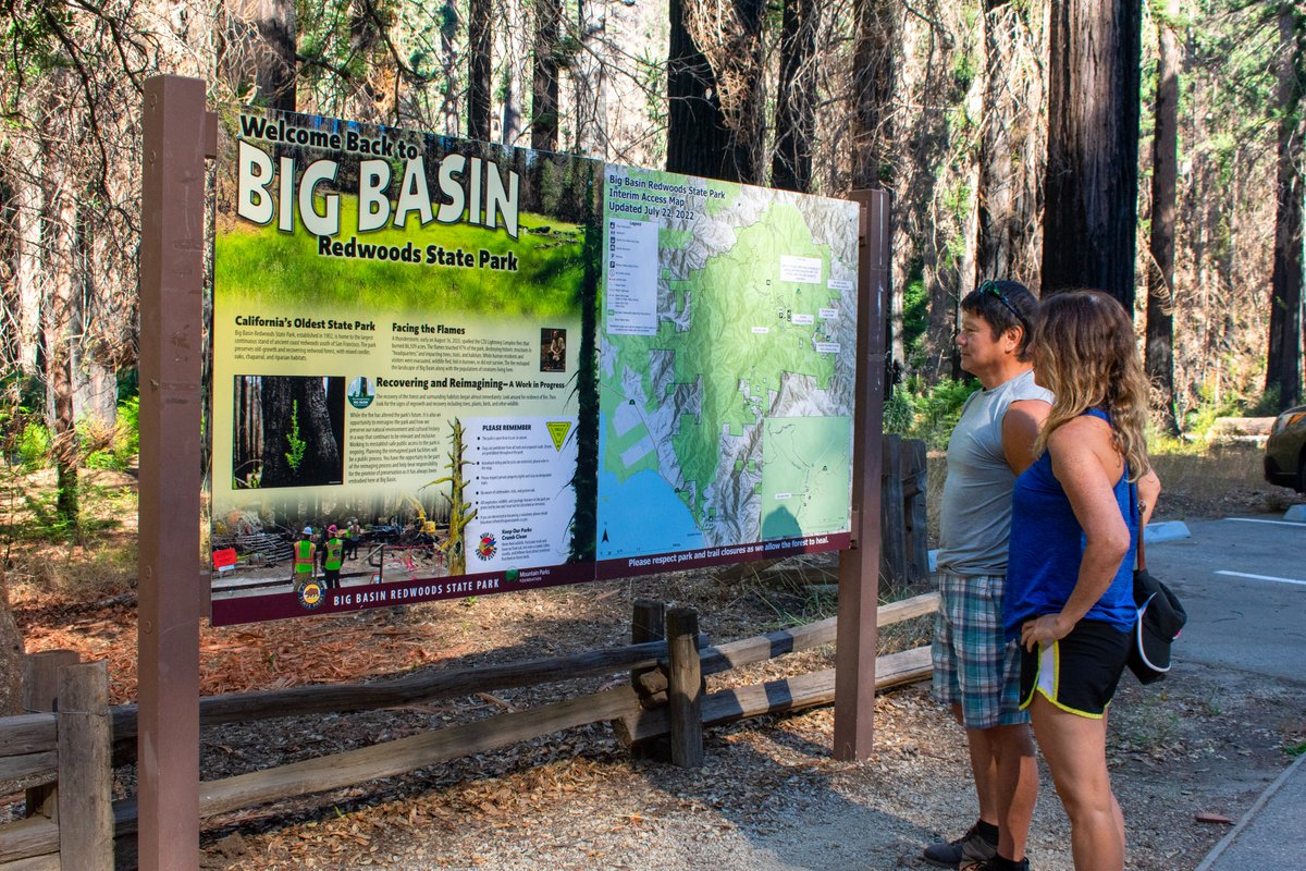 ThatsMyPark's tweet photo. Experience the resilient redwoods and visit Big Basin Redwoods State Park and stroll through the Redwood Loop Trail 🌲🥾

⚠️ Reservations are required to park at Big Basin! Visitors without a reservation to park their vehicle will be turned away #BackToBigBasin
@CAStateParksSC https://t.co/ggZFkge9z2