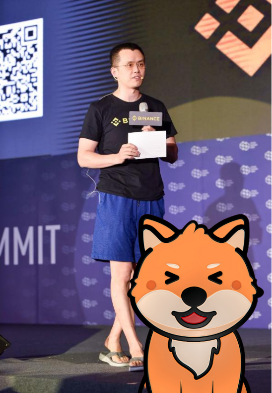 SaveDogeDex's tweet photo. @cz_binance Looooks legit 👀 https://t.co/ezMNj9yYhd