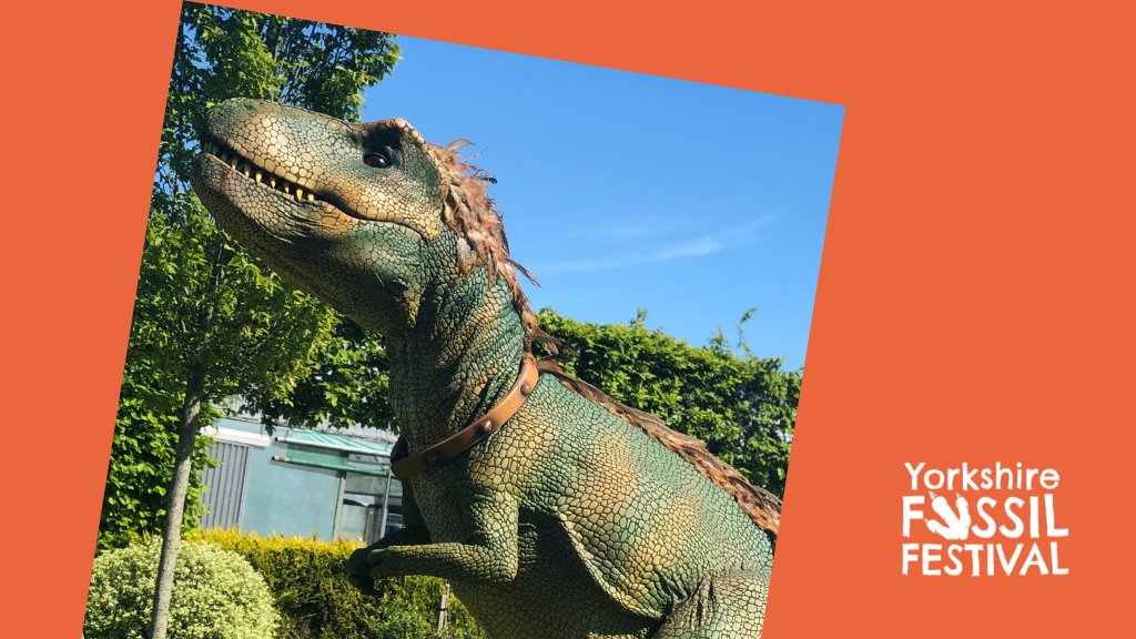 This weekend we'll be part of the great Yorkshire Fossil Festival. Bring your children and your most nerdy questions and let's do some science!