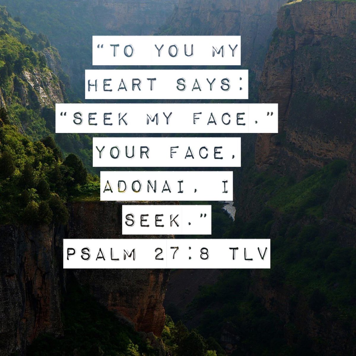YMJAinfo's tweet photo. Let’s seek to be in His presence. 

#elul #prepare #psalm27 https://t.co/V7b3JhKSA2
