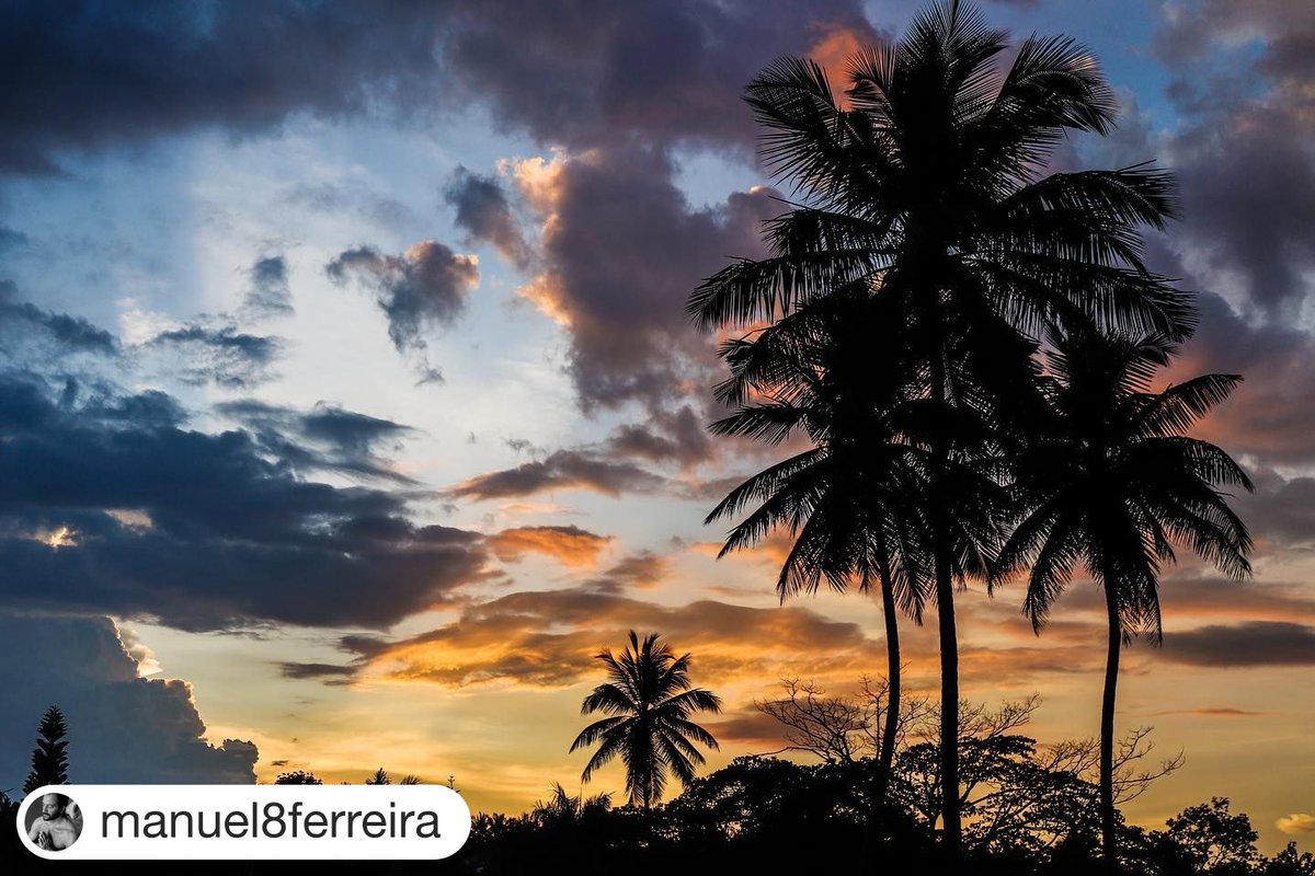nyip's tweet photo. ๐ธ: @manuel8ferreira
ใปใปใป
Yesterday sunset was ๐ฏ๐
#AmazingSunsets #SunsetPhotography #BacklightPhotography #Photography #NYIP #NYIPStudent #Mysore #India https://t.co/X3jvqVtLSX
