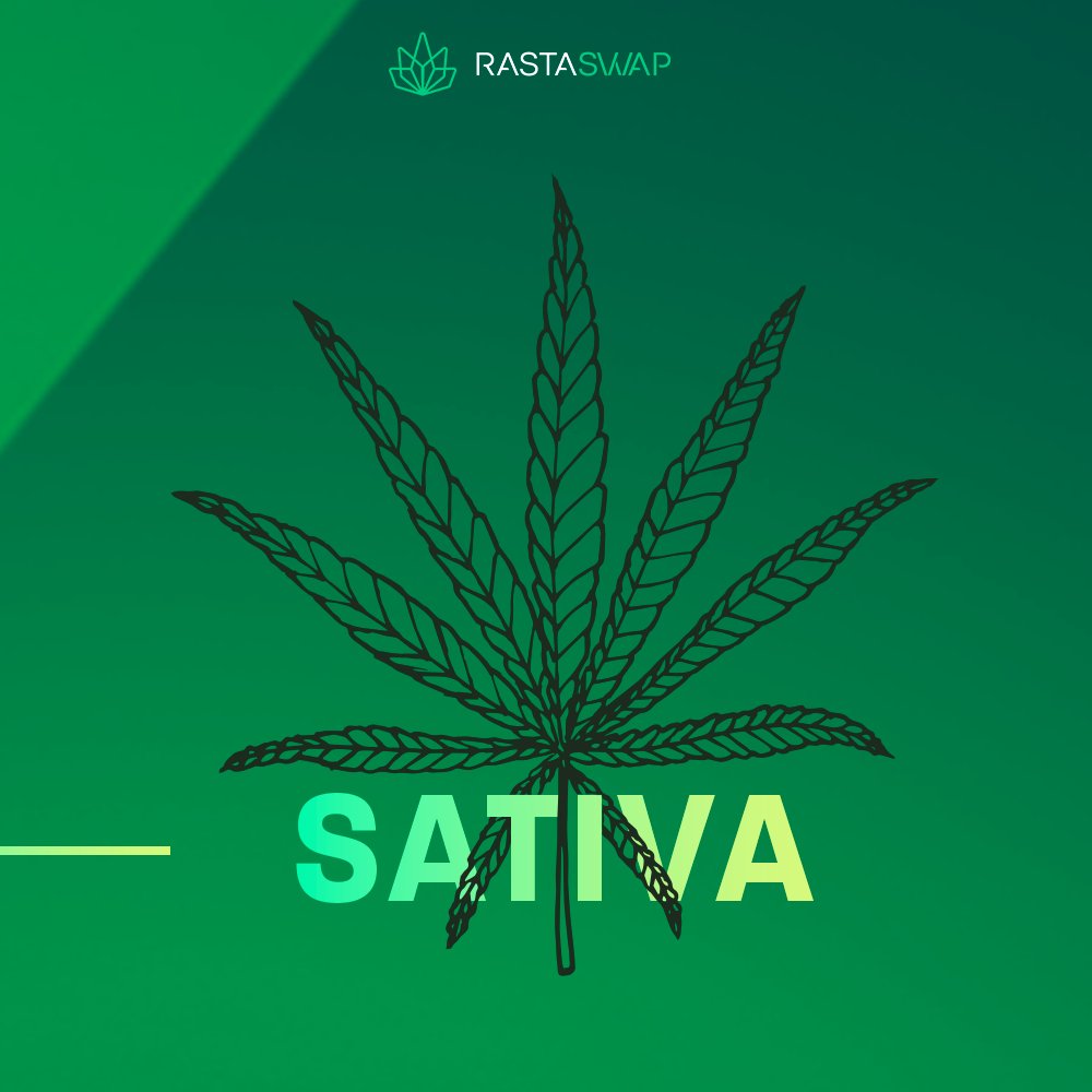 RastaSwap tweet media