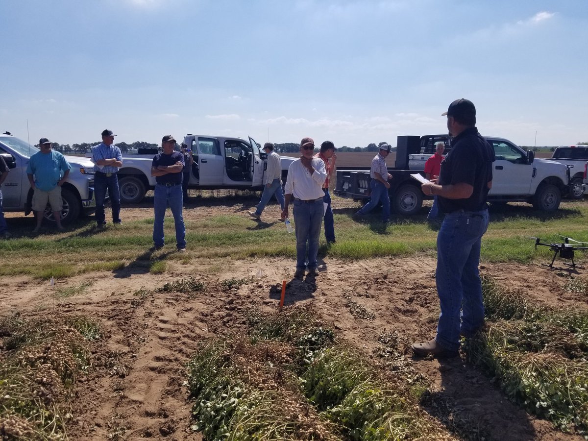 Had a Comanche County #peanut field day! Big thank you to our collaborators! @TexasPeanuts