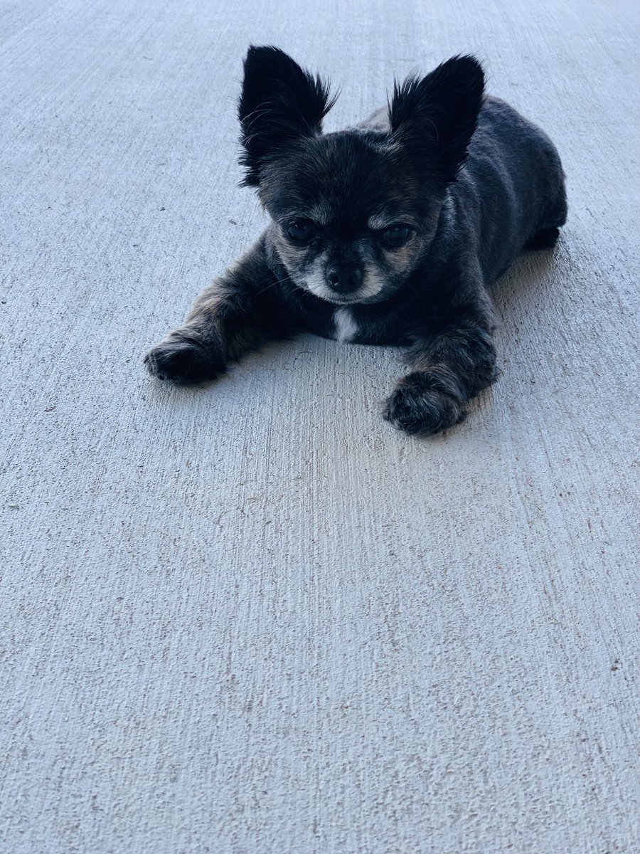 KeikisWorld's tweet photo. Mummy luvs you Keiki. Take care of Maui, Livi &amp; Grandma 🌈❤️ https://t.co/ugBDi649m4