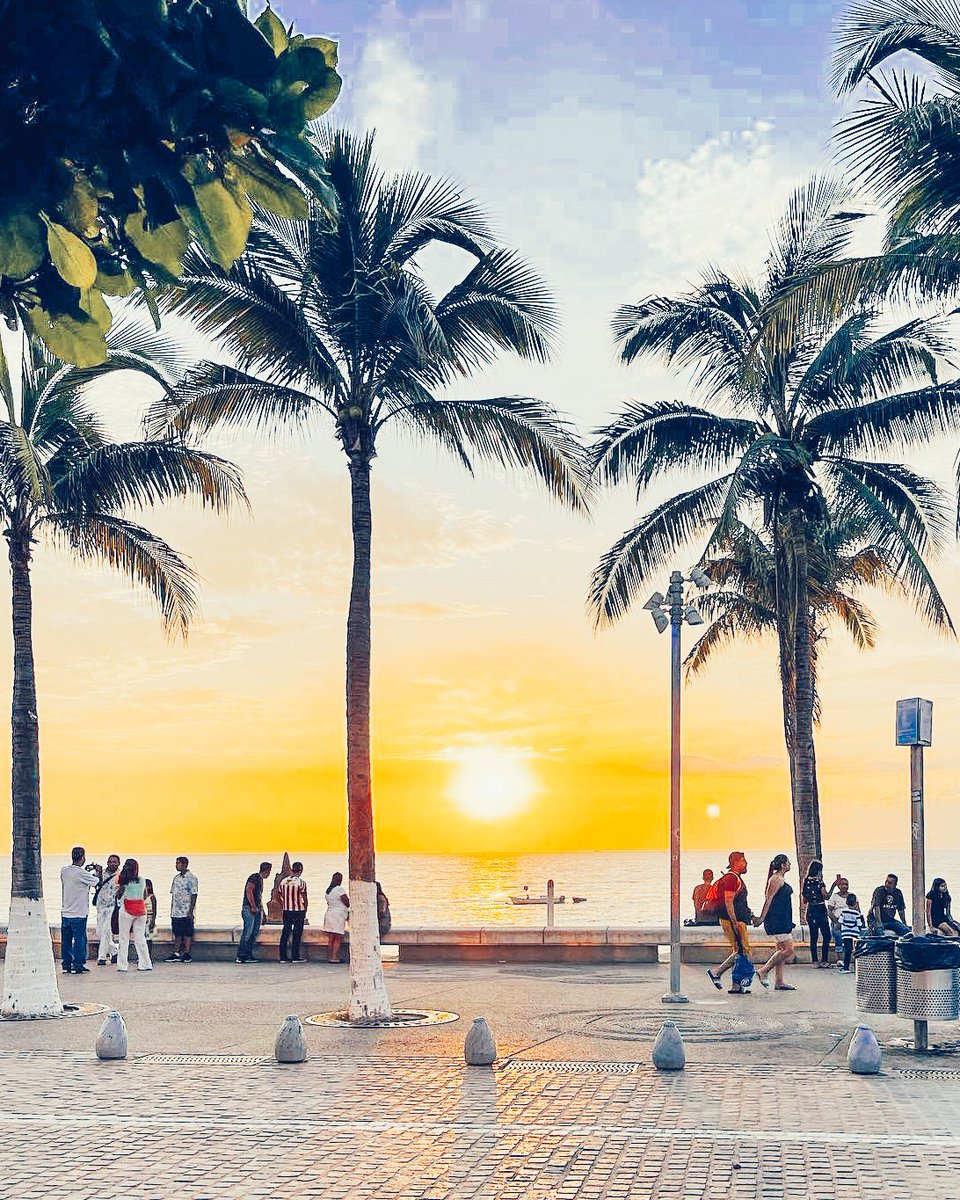 Funjet Vacations tweet media