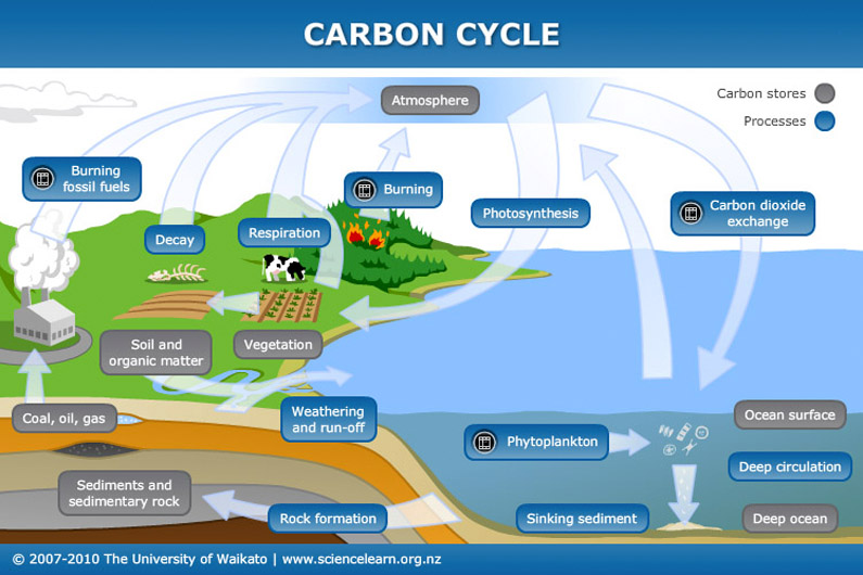 Teaching Climate? This interactive animation focuses on the carbon cycle and includes embedded videos and captioned images to provide greater clarification and detail of the cycle. climate.gov/teaching/resou…