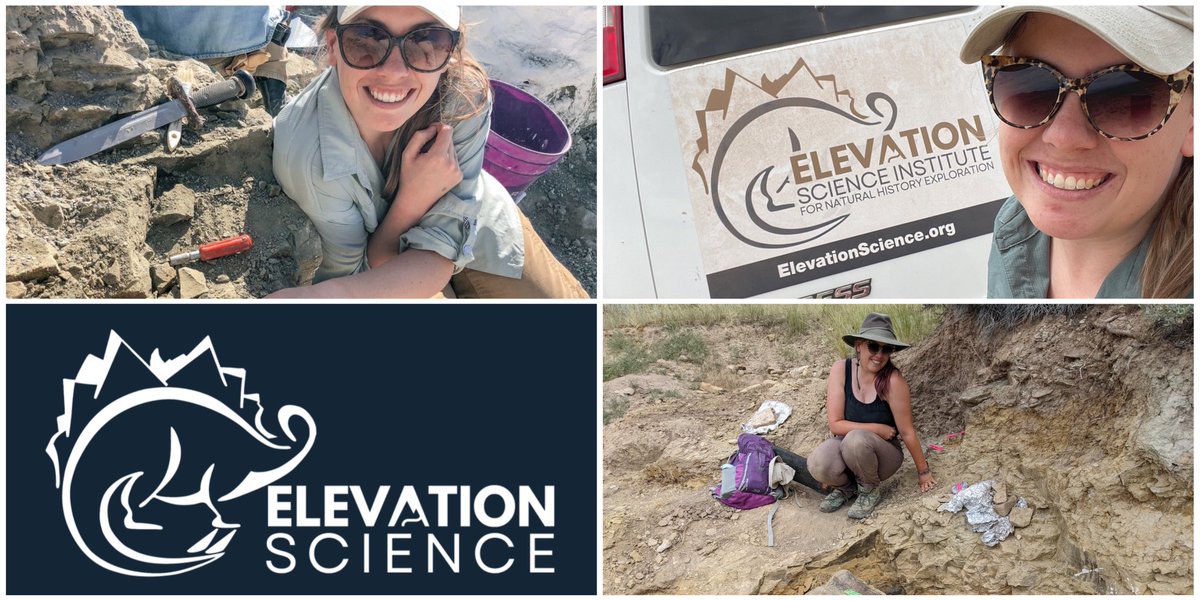 Find out what it is like to dig for fossils with Katie Hunt, Manager of the Fossil Prep Lab at <a href="/Elev_Sci/">Elevation Science Institute</a>. Katie joins us tomorrow from 11-4pm as our  next SUPER STAR OF SCIENCE. Free with day pass admission.