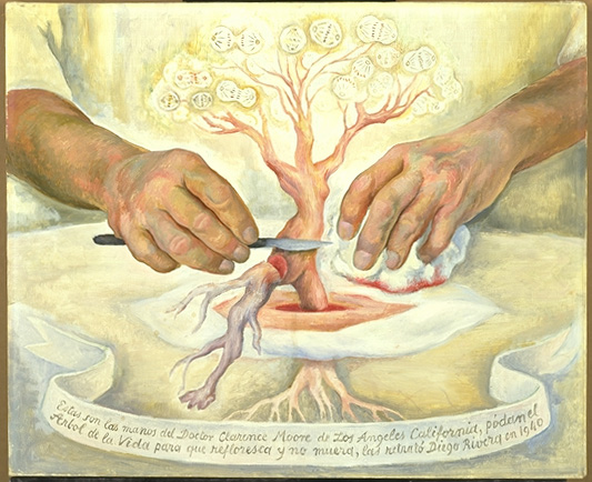 SDMA's tweet image. Happy #MexicanIndependenceDay! Come see the masterful #MexicanArt #OnViewNow, including Diego Rivera’s “The Hands of Dr. Moore” &amp;amp; José Agustín Arrieta’s evocative “Still-life." Celebrate the incredible work of Mexican artists today, during #HispanicHeritageMonth &amp;amp; all year long!