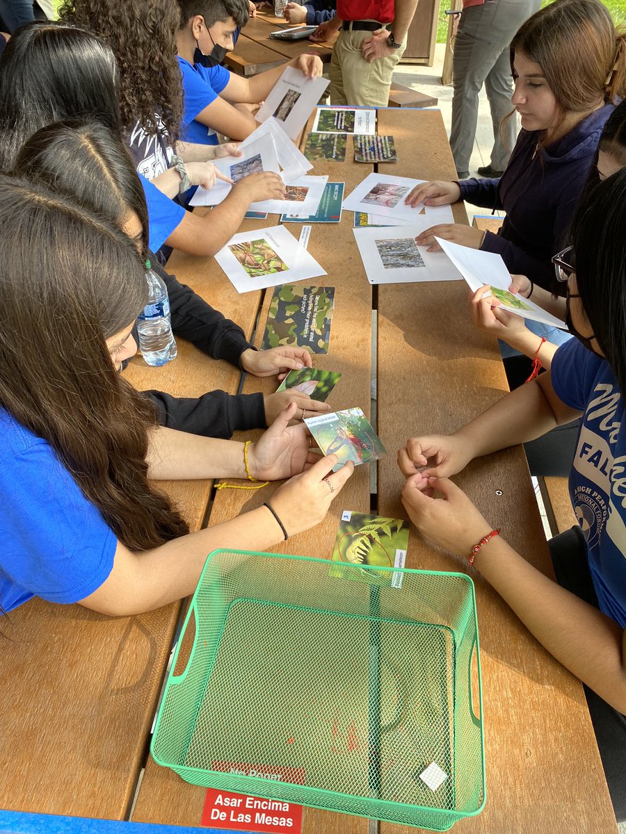 Thomas Herion tweet media