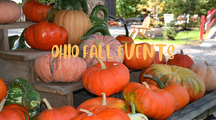 Ohio_Tourism's tweet photo. It's shaping up to be a real fun fall in Ohio! https://t.co/pWFjYWRFqJ https://t.co/yF5V8enXev