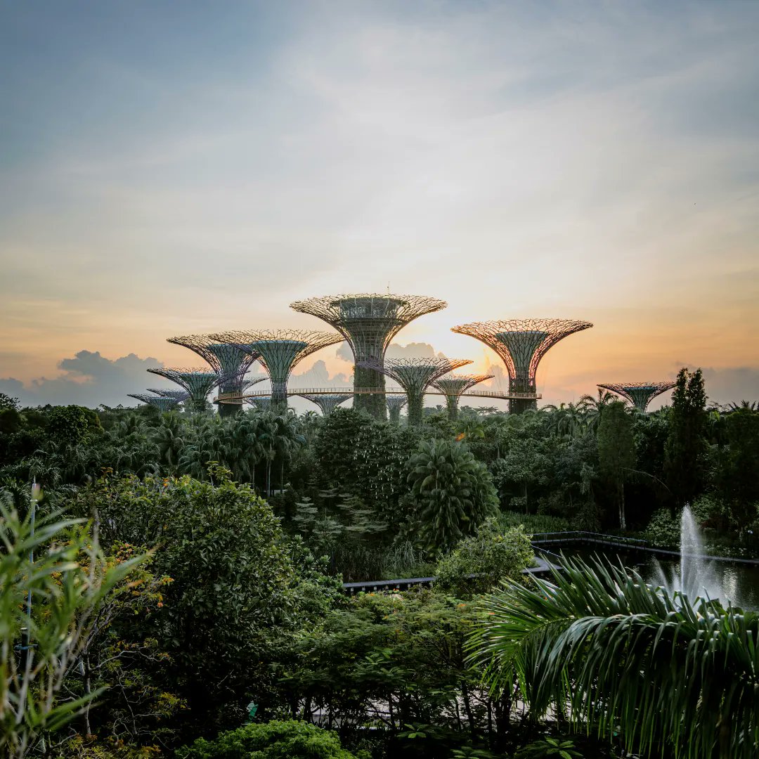 JourneyHeroApp's tweet photo. Singapore, often called the Lion City, boasts a beautiful blend of Malaysian, Indian, Chinese and English cultures – all with its own unique twist. ✈️👀 #makeitpossible

Read more: https://t.co/gt60rnAUUr 

#travelblog #singapore #singaporeguide https://t.co/6P4BqziVbD