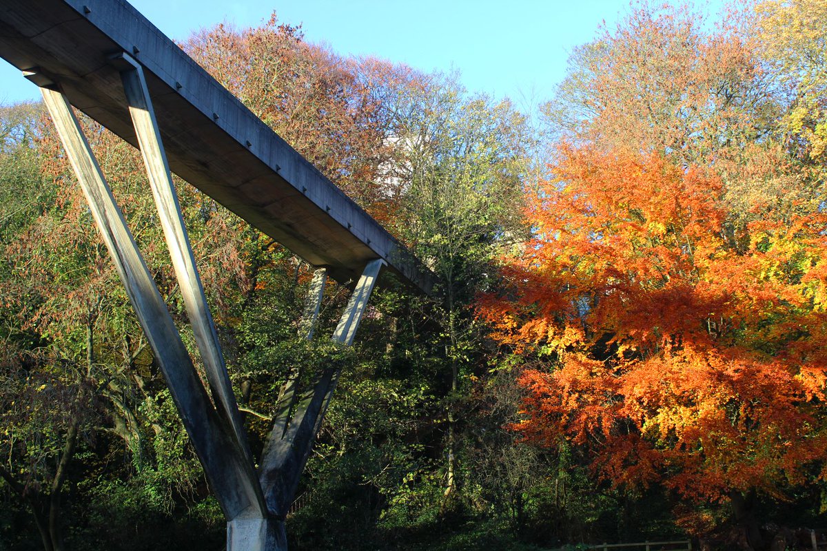 "A broader conversation around the capacity of the city and admissions is long overdue, and Durham’s housing market is now at breaking point."

Our Officer team have released a joint statement on the housing shortage in Durham: ow.ly/2r3L50KLHef