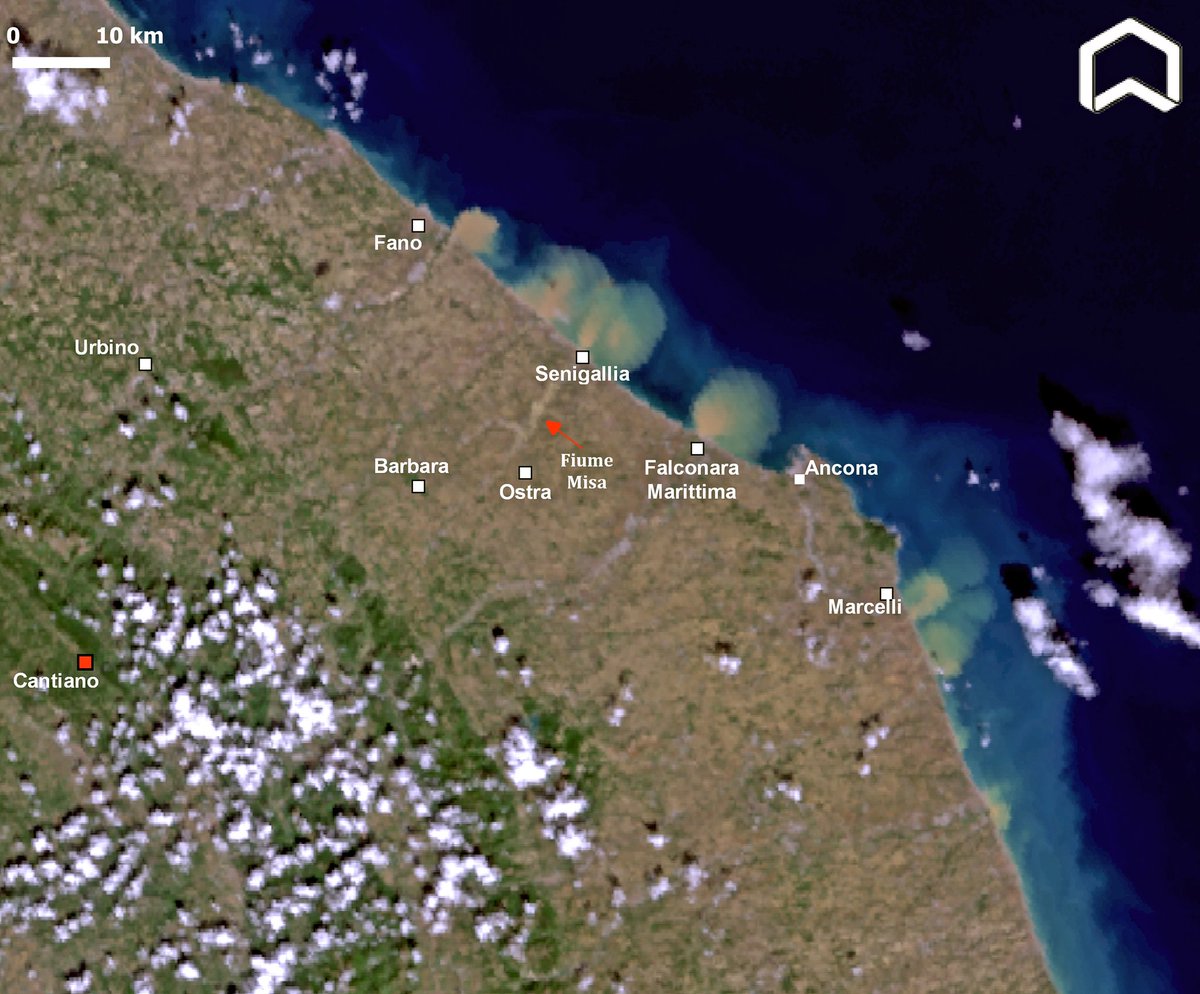 The huge #floods that overwhelmed central #Italy last night pour into the sea with multiple sediments plumes, as shown by today's #Copernicus #Sentinel3. #ClimateEmergency  

La violenta #alluvione che ha travolto le #Marche si riversa in mare per oltre 80 km. #alluvionemarche